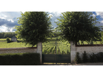 Domaine Michèle et Patrice Rion