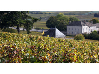 Domaine Michèle et Patrice Rion
