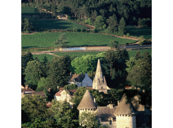 Domaine Pavelot