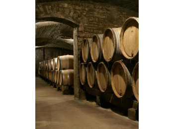 Domaine Pavelot
