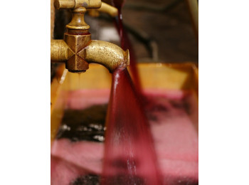 Domaine Pavelot