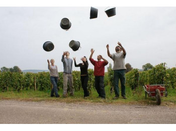 Domaine Pavelot