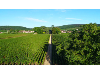 Domaine Henri Rebourseau
