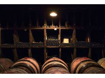 Domaine Gérard Quivy