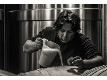 Champagne Savart