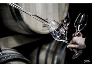 Champagne Savart
