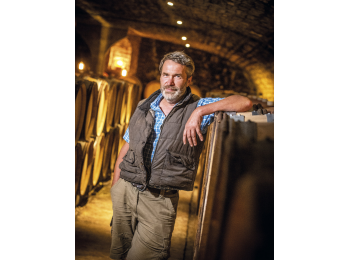 Domaine Trapet